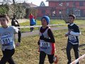 p1060127-large