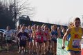 p1060183-large